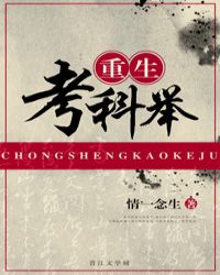 重生考上哈佛的小说